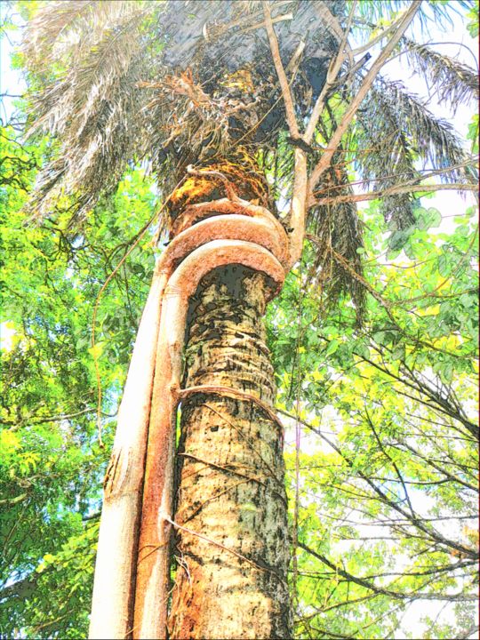 Digital Arts titled "Plant, palm tree, n…" by Plaline, Original Artwork, Photo Montage