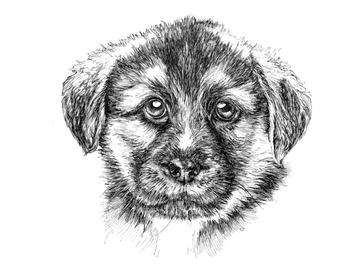 Drawing titled "Sweet puppy" by Marina Tereshkina, Original Artwork, Ink