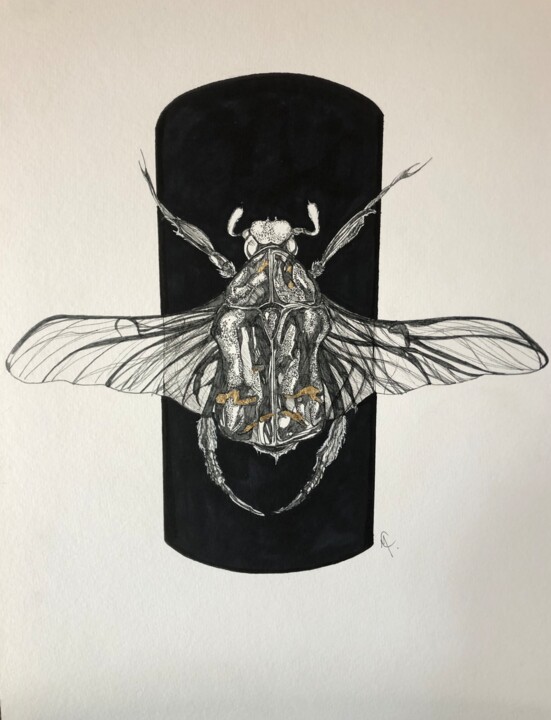 Drawing titled "Insecte doré" by Marine Cassat (Alpha Zêt’Art), Original Artwork, Marker