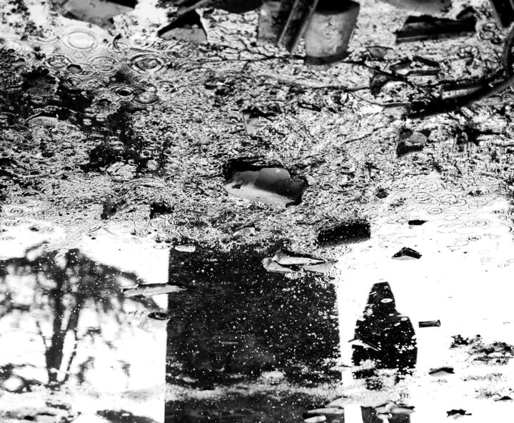 Photographie intitulée "The Tree of Life" par Marine Tillé, Œuvre d'art originale,