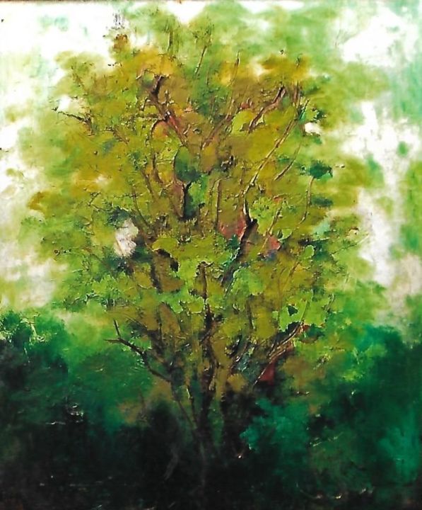 Ζωγραφική με τίτλο "3-albero-da-sogno-" από Mario Fanconi, Αυθεντικά έργα τέχνης, Λάδι