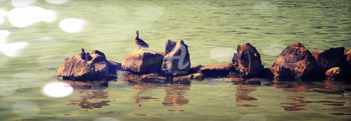 Fotografia zatytułowany „Maman canne et ses…” autorstwa Marion Kormann, Oryginalna praca