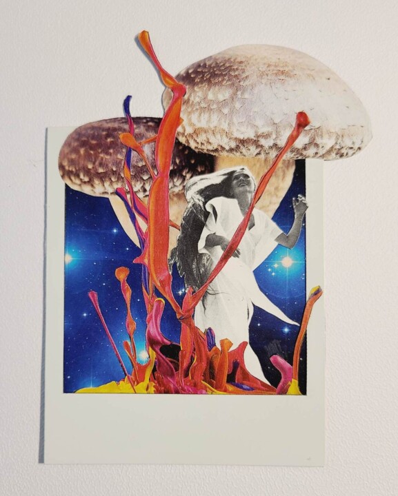 Collages titled "Champignon magique" by Marion Revoyre, Original Artwork, Collages