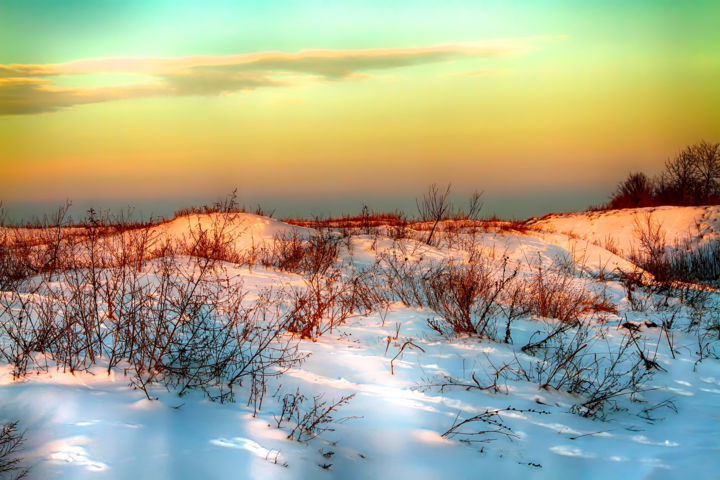 Photographie intitulée "Russian tundra" par Marian Bogatu, Œuvre d'art originale, Photographie numérique