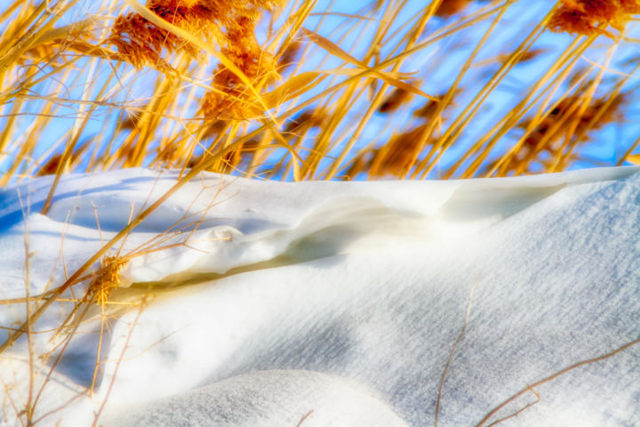 摄影 标题为“Winter in the Desert” 由Marian Bogatu, 原创艺术品, 操纵摄影