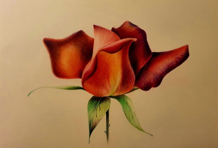 Painting titled "Red rose" by Mariya Gromova, Original Artwork, Conté