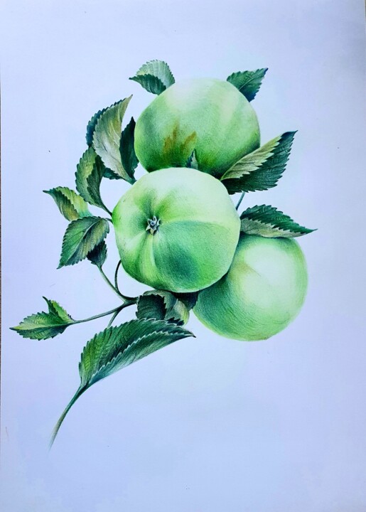 Painting titled "Green apples" by Mariya Gromova, Original Artwork, Pencil