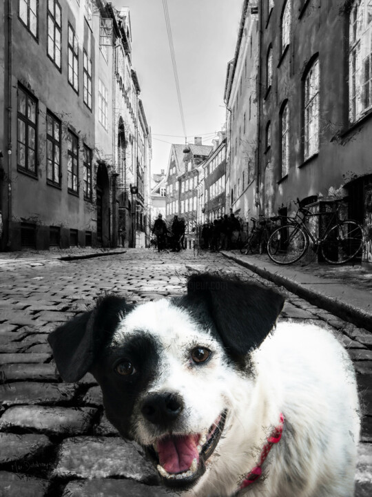 Arts numériques intitulée "Black and white dog" par Marjoline Delahaye, Œuvre d'art originale, Travail numérique 2D