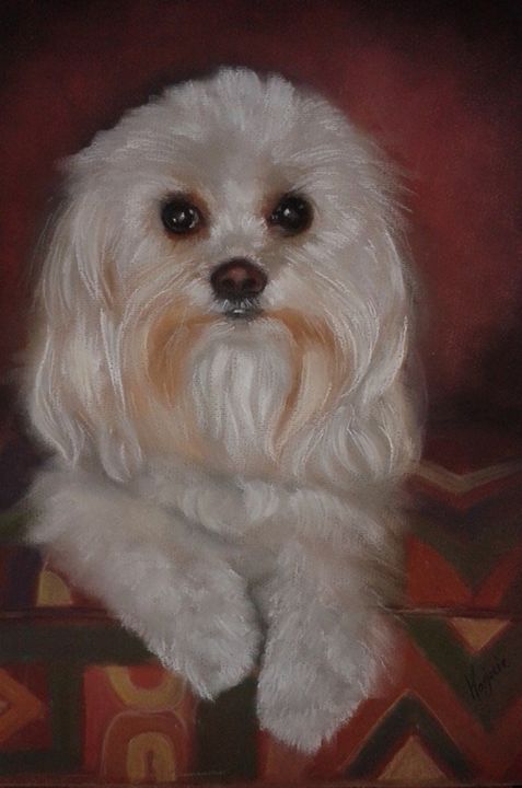 Painting titled "chien-bichon.jpg" by Marjorie Artiste Pastelliste, Original Artwork, Pastel