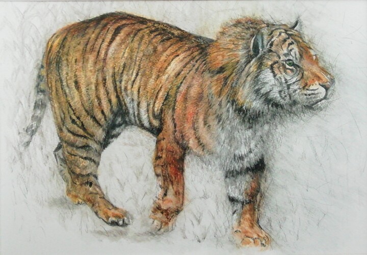 Peinture intitulée "Tiger" par Mark Carnall, Œuvre d'art originale, Aquarelle