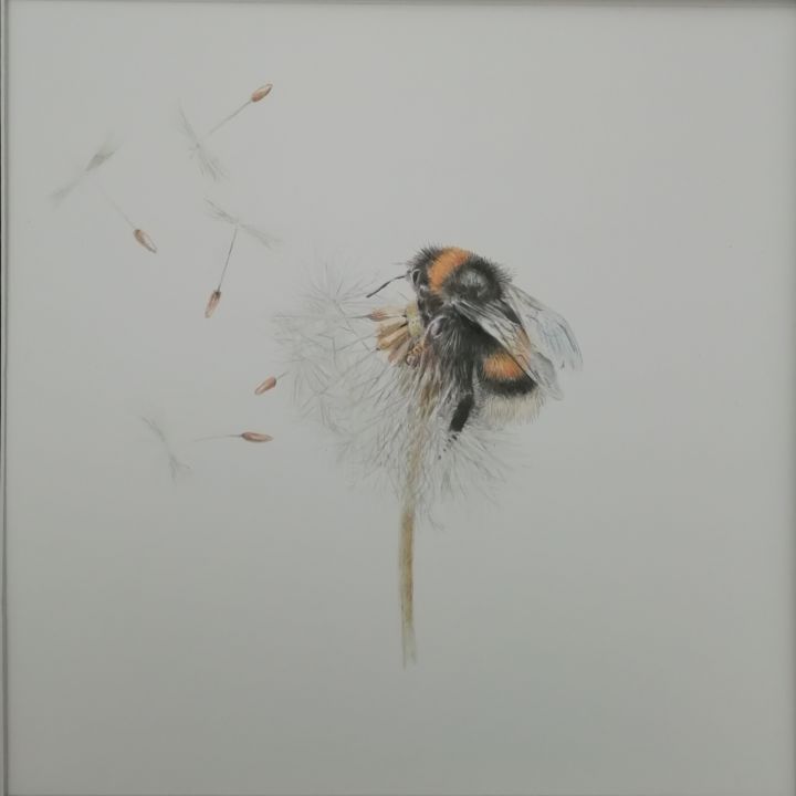 Drawing titled "Blowing in the wind" by Mark Carnall, Original Artwork, Pencil Mounted on Cardboard