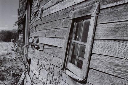 Malarstwo zatytułowany „Burr Window” autorstwa Mark Polege, Oryginalna praca