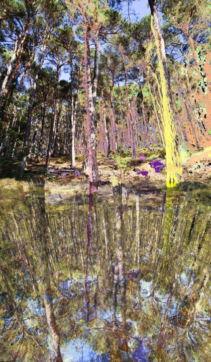 Digitale Kunst mit dem Titel "zauberwald-9.jpg" von Michael Schwahn, Original-Kunstwerk