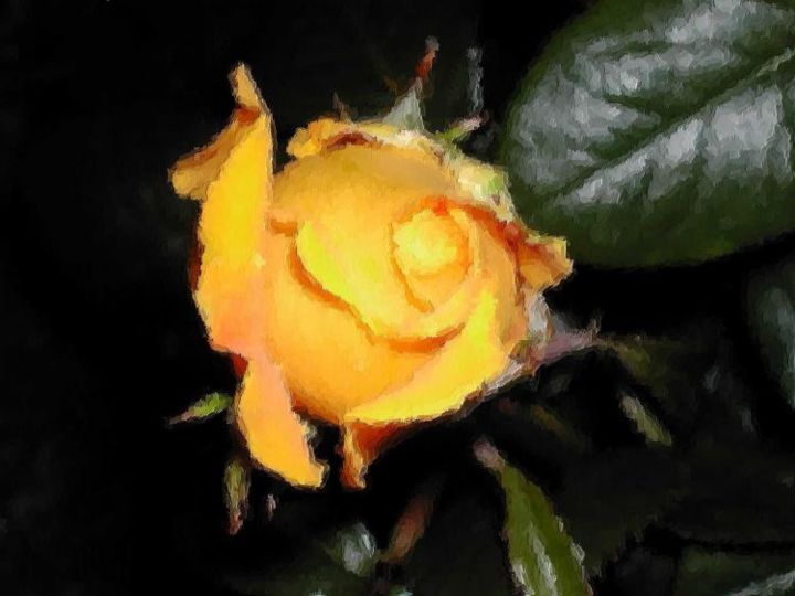 Photography titled "Rose Paint" by Mark Lambert, Original Artwork