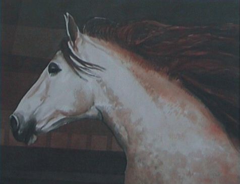 Painting titled "white horse"lipican…" by Marko Kern, Original Artwork