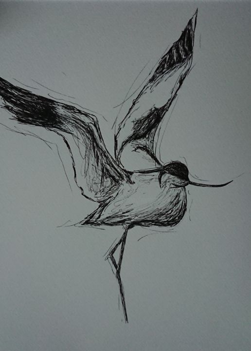 Drawing titled "Avocette" by Marlène Bonnaffé, Original Art, Marker
