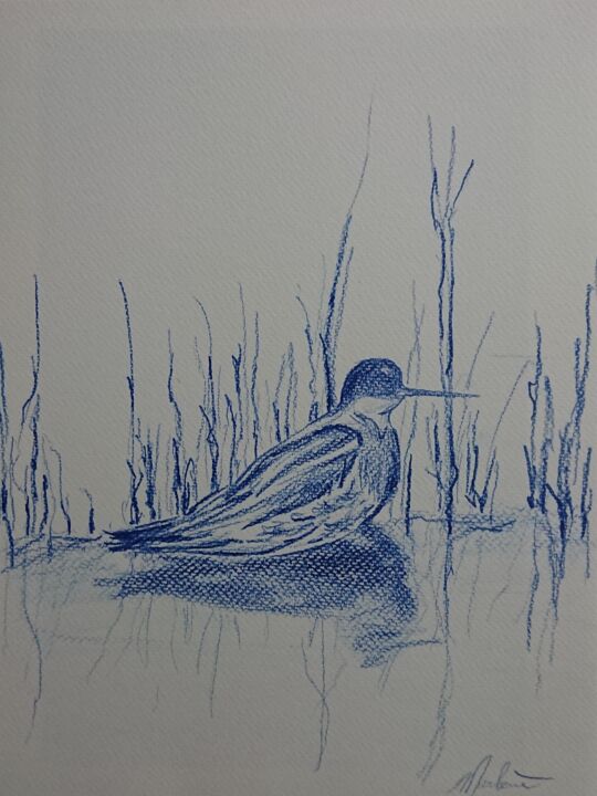Dessin intitulée "Petit oiseau dans l…" par Marlène Bonnaffé, Œuvre d'art originale, Crayon