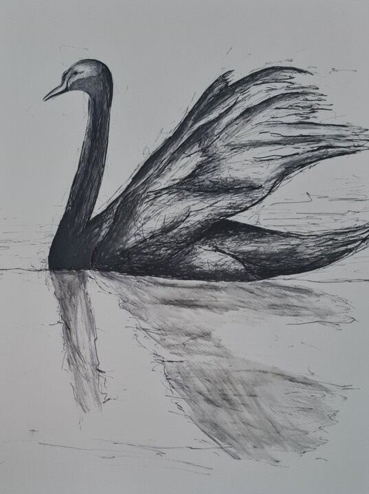 Desenho intitulada "Cygnus olor" por Marlène Bonnaffé, Obras de arte originais, Tinta