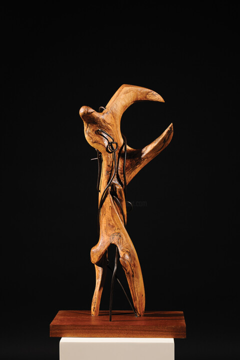 Sculpture titled "I Am Reborn from th…" by Maroun Hakim, Original Artwork, Wood