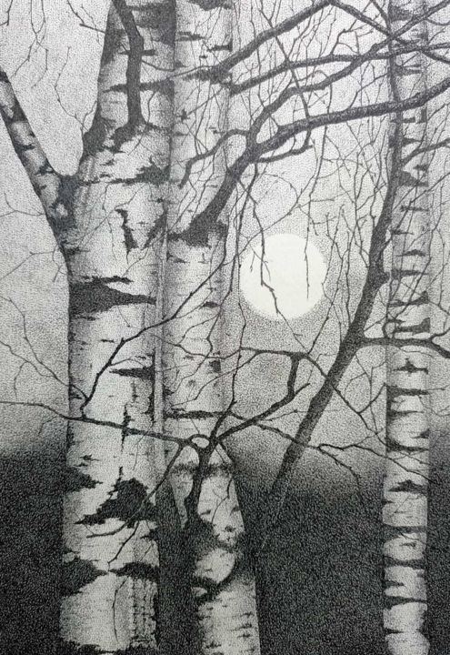 Disegno intitolato "Bosco di notte" da Marta Rizzi, Opera d'arte originale, Inchiostro