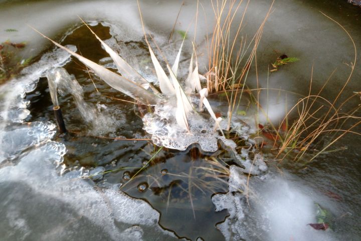 Photography titled "glace-en-folie.jpg" by Martemi, Original Artwork