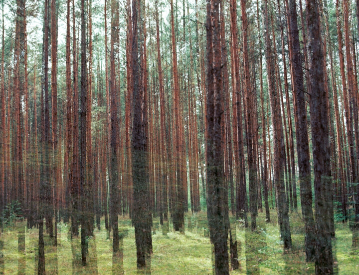 Photographie intitulée "ABSTRACTION DES COL…" par Martin Ecker, Œuvre d'art originale, Photographie argentique