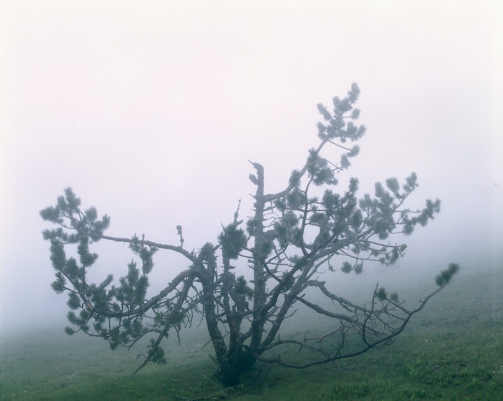 Photographie intitulée "Transzendente Ästhe…" par Martin Ecker, Œuvre d'art originale, Photographie argentique