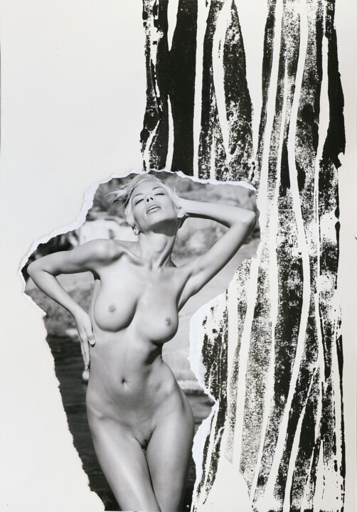 Collages intitulée "Monochrome Safari P…" par Martin Wieland, Œuvre d'art originale, Lithographie