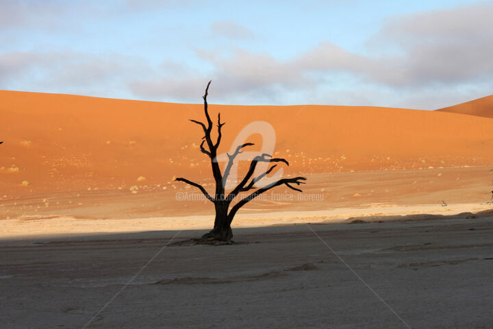 제목이 "Arbre Namibie"인 사진 Martine France Moreau로, 원작, 조작되지 않은 사진 알루미늄에 장착됨