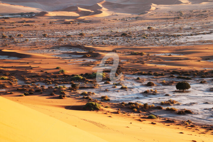 Fotografia intitolato "Sossusvlei Namibie" da Martine France Moreau, Opera d'arte originale, Fotografia non manipolata