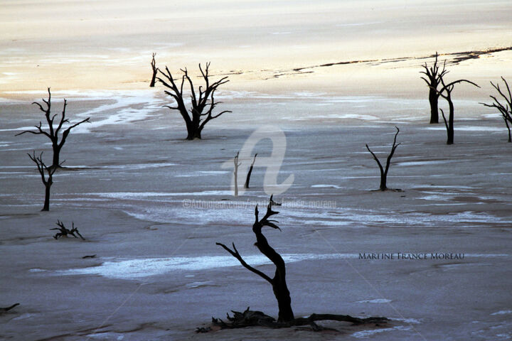 Fotografia intitulada "Namibie3" por Martine France Moreau, Obras de arte originais, Fotografia digital