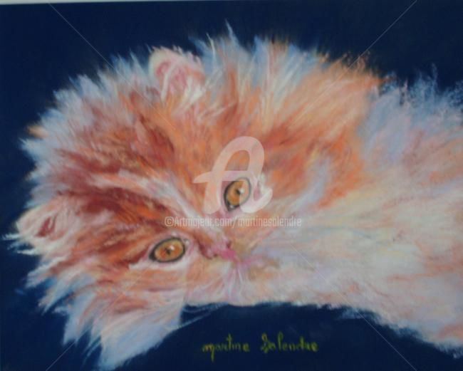 Peinture intitulée "Châton roux" par Martine Salendre, Œuvre d'art originale, Pastel