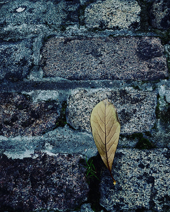 Fotografia zatytułowany „Lost in a Lost World” autorstwa Martin Vallis, Oryginalna praca, Fotografia cyfrowa