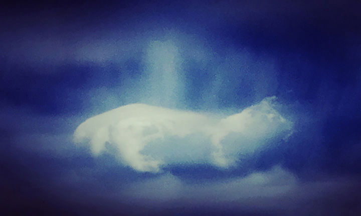 Fotografie getiteld "Cloud Dog" door Martin Vallis, Origineel Kunstwerk, Digitale fotografie