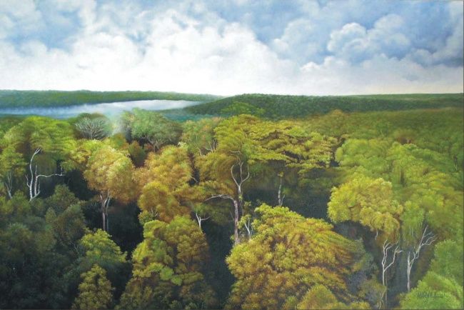 Schilderij getiteld "FLORESTA AMAZONICA" door Marvila, Origineel Kunstwerk