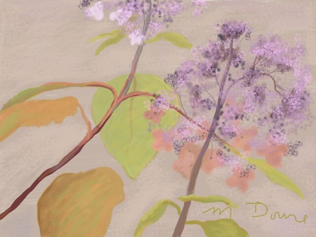 Painting titled "Hydrangeas" by Mary Downe, Original Artwork