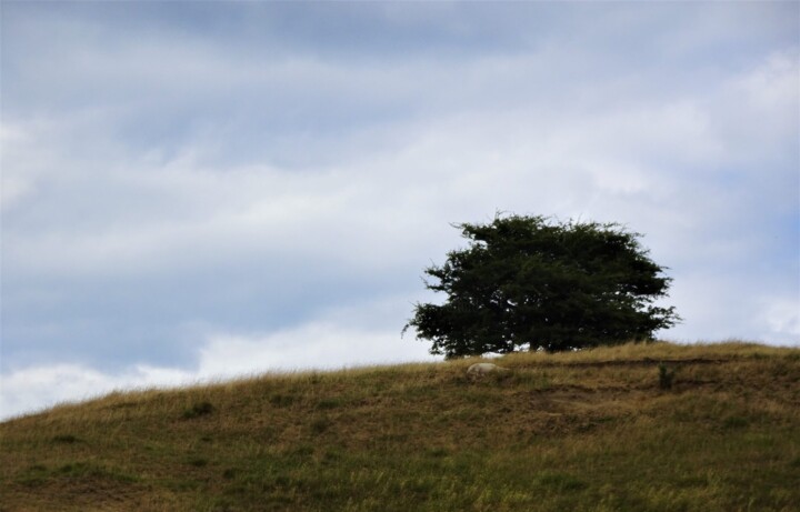 Photography titled "Lone Tree" by Mary Joan Attard, Original Artwork, Other