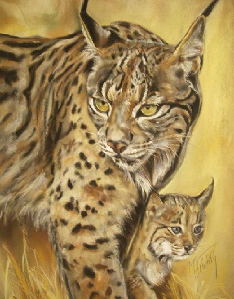Painting titled "lynx-pastel-card-60…" by Marylise Froehly, Original Artwork, Pastel