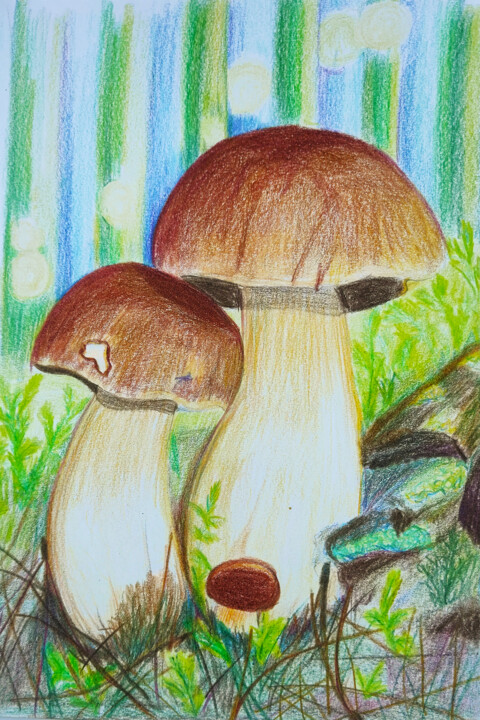 Painting titled "Boletus edulis" by Maryna Pohorielko, Original Artwork, Pencil