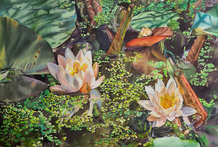 Malerei mit dem Titel "Water lily pond - o…" von Maryna Slizinova, Original-Kunstwerk, Aquarell