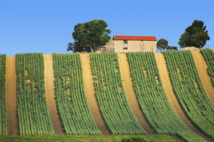 Fotografia intitulada "Casa in campagna" por Masaya Dew, Obras de arte originais