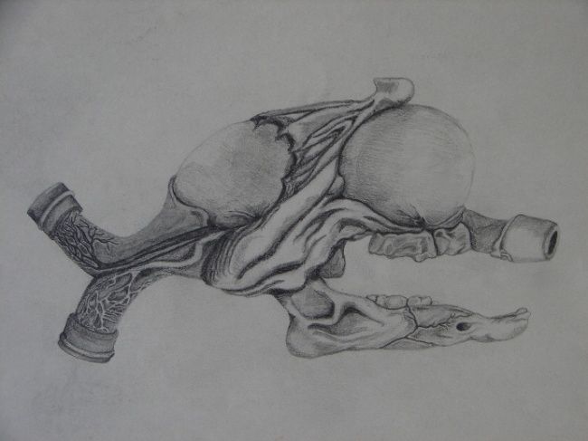 Drawing titled "Abstrakon" by M A S K O, Original Artwork