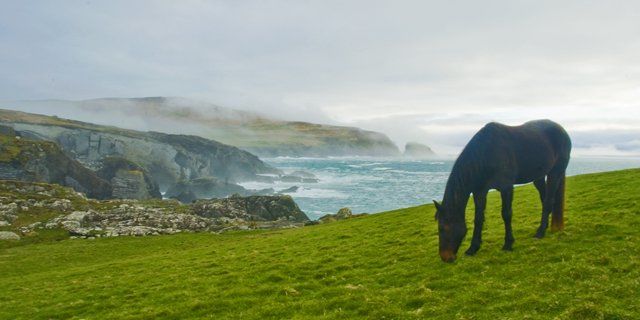 Fotografia intitolato "Ireland 8" da Massimo Lauriola, Opera d'arte originale