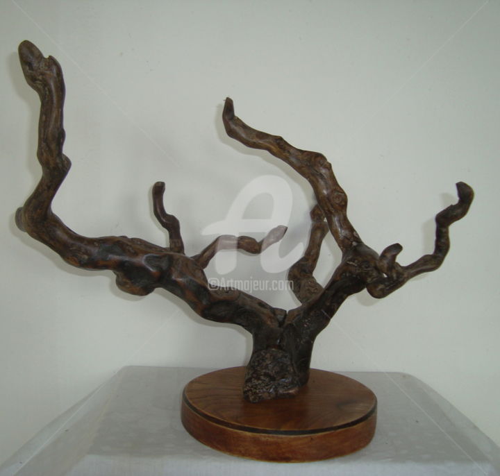 Sculptuur getiteld "Vine Roots" door Angel Dobrev, Origineel Kunstwerk, Hout