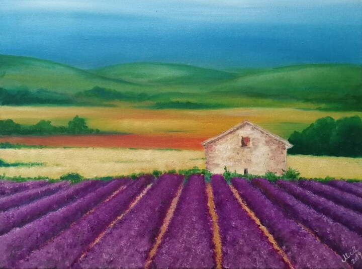 Ζωγραφική με τίτλο "Lavender field - or…" από Mateja Marinko, Αυθεντικά έργα τέχνης, Λάδι Τοποθετήθηκε στο Ξύλινο φορείο σκε…