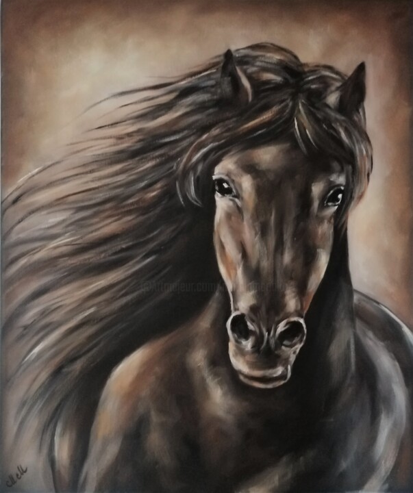 绘画 标题为“Arabian Horse - ori…” 由Mateja Marinko, 原创艺术品, 油