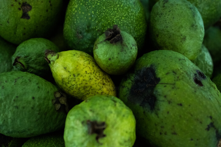 Fotografia intitulada "Guavas from a Fruit…" por Matheus Mendes, Obras de arte originais, Fotografia digital