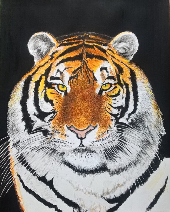 Dessin intitulée "Tigre de Sibérie" par Mathias Cornet, Œuvre d'art originale