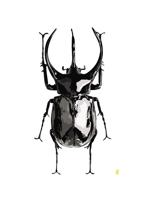 Drawing titled "Chalcosoma atlas" by Mathilde Delattre-Josse, Original Artwork, Digital Photography