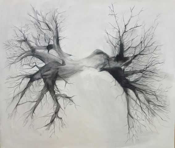 Drawing titled "arbre poumon" by Maude Ovize, Original Artwork